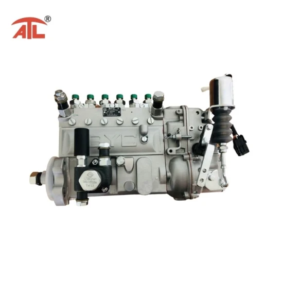 Kraftstoffeinspritzpumpe (10402376191) für Motor Sazan